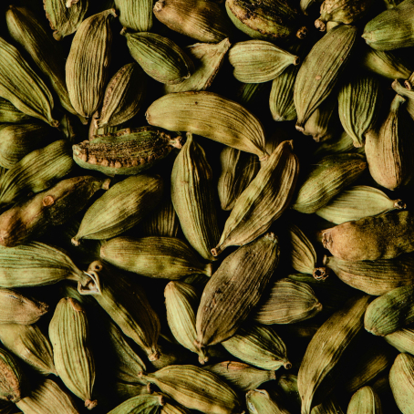 Cardamomo